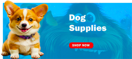 dog supplies