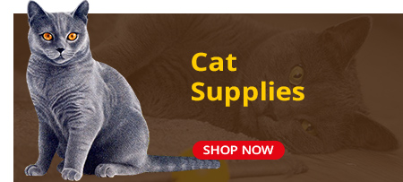 cat supplies