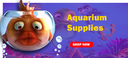 aquatic supplies