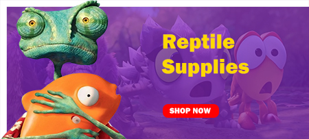 reptile supplies