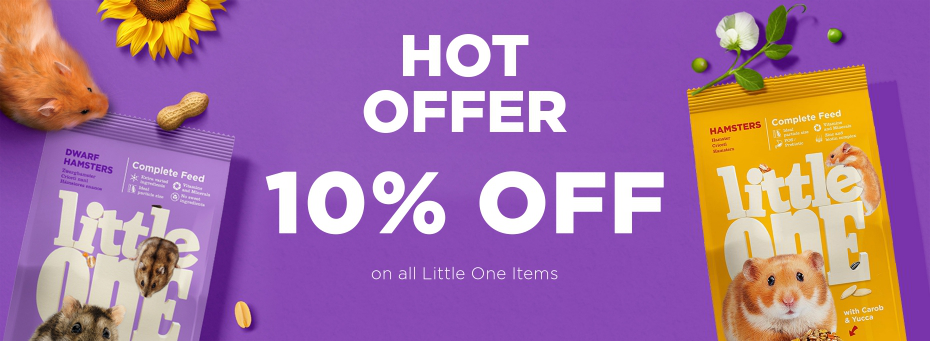 little one 10% discount