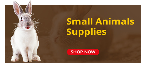 small animal supplies